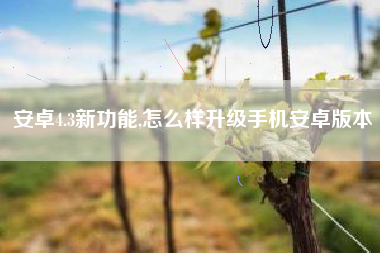 安卓4.3新功能,怎么样升级手机安卓版本