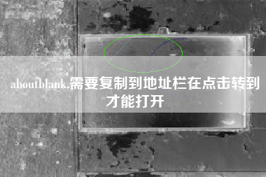 aboutblank,需要复制到地址栏在点击转到才能打开
