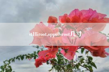 st18iroot,oppo9sroot几寸