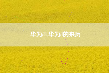 华为d1,华为d的来历