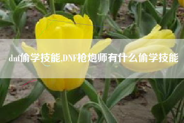 dnf偷学技能,DNF枪炮师有什么偷学技能