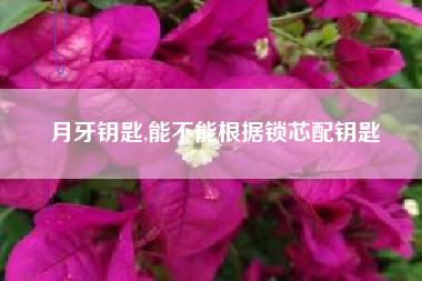 月牙钥匙,能不能根据锁芯配钥匙