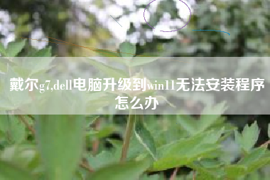 戴尔g7,dell电脑升级到win11无法安装程序怎么办