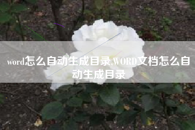 word怎么自动生成目录,WORD文档怎么自动生成目录
