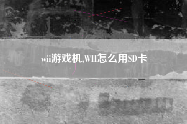 wii游戏机,WII怎么用SD卡