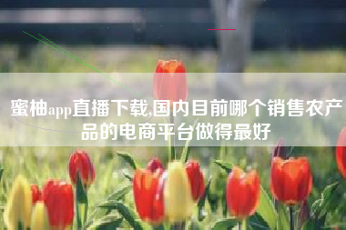 蜜柚app直播下载,国内目前哪个销售农产品的电商平台做得最好