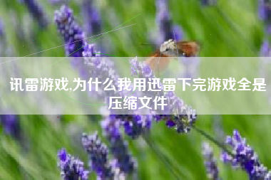 讯雷游戏,为什么我用迅雷下完游戏全是压缩文件