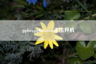 ppbox,ppboxmini无法开机