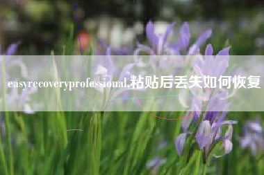 easyrecoveryprofessional,粘贴后丢失如何恢复