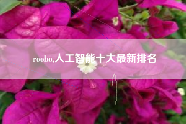 roobo,人工智能十大最新排名