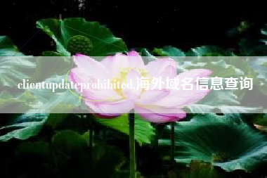 clientupdateprohibited,海外域名信息查询
