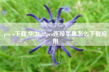 pro e下载,华为gt2pro连接苹果怎么下载应用