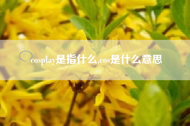 cosplay是指什么,cos是什么意思