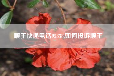 顺丰快递电话95338,如何投诉顺丰