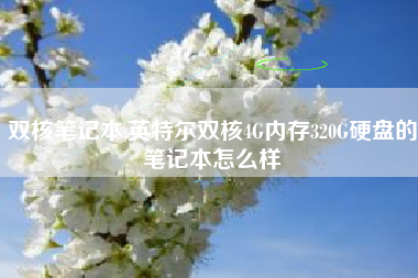 双核笔记本,英特尔双核4G内存320G硬盘的笔记本怎么样