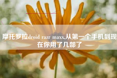 摩托罗拉droid razr maxx,从第一个手机到现在你用了几部了