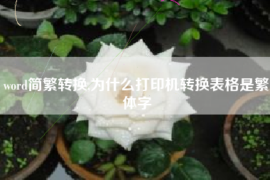 word简繁转换,为什么打印机转换表格是繁体字
