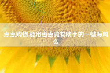 惠惠购物,能用惠惠购物助手的一键海淘么