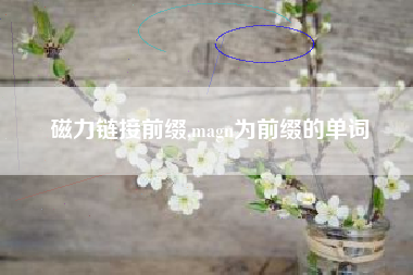 磁力链接前缀,magn为前缀的单词