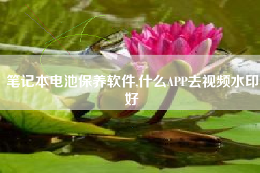 笔记本电池保养软件,什么APP去视频水印好