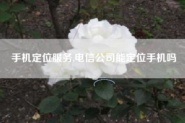 手机定位服务,电信公司能定位手机吗
