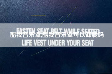 醋我音乐盒,酷我音乐盒可以卸载吗