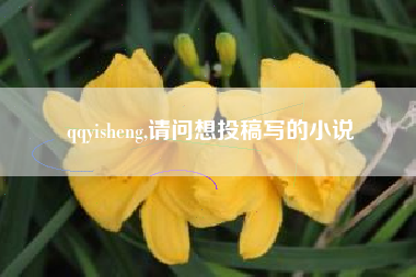 qqyisheng,请问想投稿写的小说