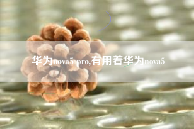 华为nova5 pro,有用着华为nova5