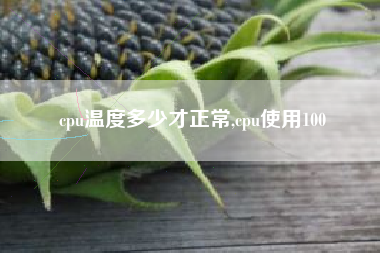 cpu温度多少才正常,cpu使用100