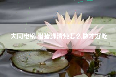 大同电锅,腊猪脚清炖怎么做才好吃