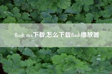 flash mx下载,怎么下载flash播放器
