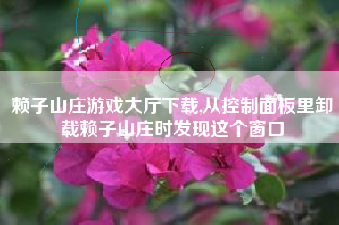 赖子山庄游戏大厅下载,从控制面板里卸载赖子山庄时发现这个窗口