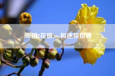 帝国2花屏,mc和迷你世界