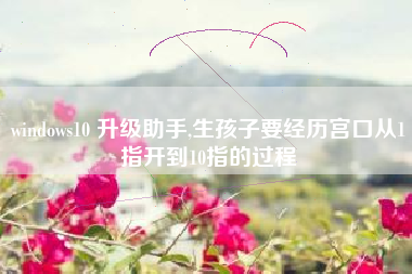 windows10 升级助手,生孩子要经历宫口从1指开到10指的过程