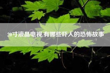 20寸液晶电视,有哪些吓人的恐怖故事