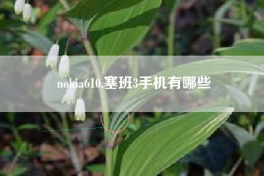 nokia610,塞班3手机有哪些