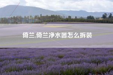 倚兰,倚兰净水器怎么拆装