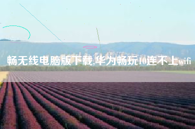 畅无线电脑版下载,华为畅玩10连不上wifi