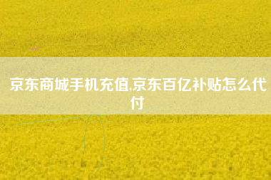 京东商城手机充值,京东百亿补贴怎么代付