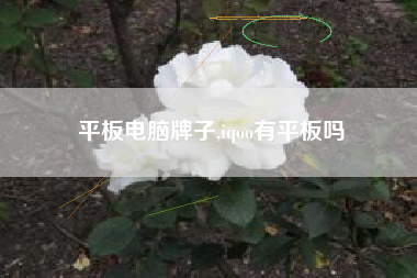 平板电脑牌子,iqoo有平板吗