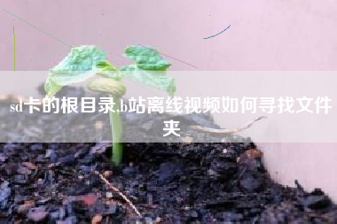 sd卡的根目录,b站离线视频如何寻找文件夹