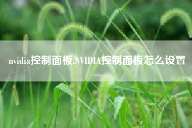 nvidia控制面板,NVIDIA控制面板怎么设置