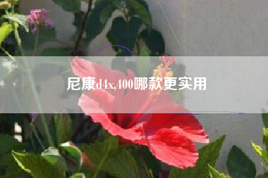 尼康d4x,400哪款更实用