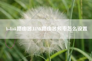 b-link路由器,LINK路由器频率怎么设置