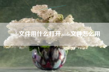 mds文件用什么打开,mds文件怎么用