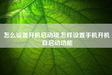 怎么设置开机启动项,怎样设置手机开机自启动功能