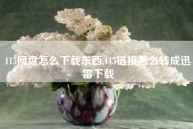 115网盘怎么下载东西,115链接怎么转成迅雷下载
