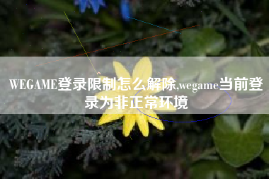 WEGAME登录限制怎么解除,wegame当前登录为非正常环境
