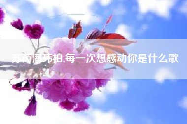 苏芮潘玮柏,每一次想感动你是什么歌