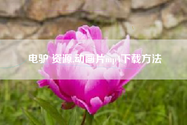 电驴 资源,动画片mp4下载方法